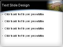 Piggy PowerPoint Template text slide design
