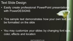 Single Flower 01 Widescreen PowerPoint Template text slide design