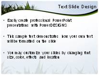 Summer Corn Crop PowerPoint Template text slide design