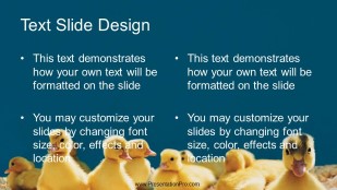 Baby Ducks Widescreen PowerPoint Template text slide design