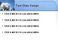 Cotton Bloom PowerPoint Template text slide design