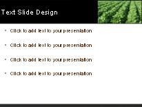 Soybean Patch PowerPoint Template text slide design