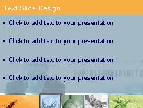 Business Time PowerPoint Template text slide design