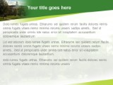 Lush Campus Life PowerPoint Template text slide design