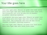 Package Green PowerPoint Template text slide design
