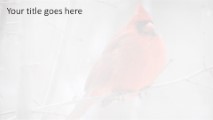 Winter Cardinal Widescreen PowerPoint Template text slide design