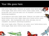 Insects PowerPoint Template text slide design