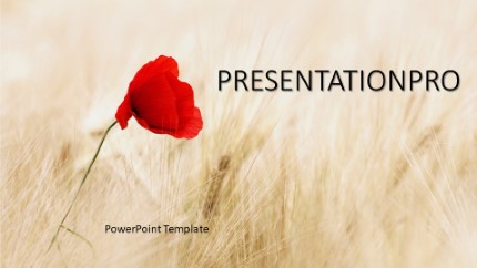 Red Flower Field Widescreen PowerPoint Template text slide design