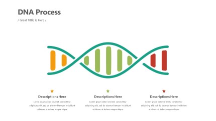 DNA Infographic Layout PowerPoint Infographic pptx design