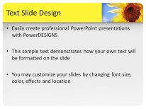 Summer Season PowerPoint Template text slide design