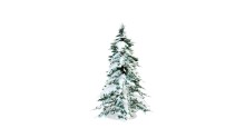 Pine Tree Snow 3D Model