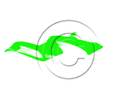 Scribble Green PPT PowerPoint picture photo