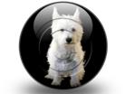Download doggy s PowerPoint Icon and other software plugins for Microsoft PowerPoint