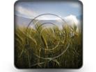 Download sth grain b PowerPoint Icon and other software plugins for Microsoft PowerPoint