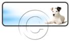 Download puppy 01 h PowerPoint Icon and other software plugins for Microsoft PowerPoint