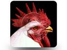 Rooster 01 Square PPT PowerPoint Image Picture