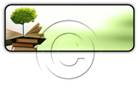 Growth From Knowledge Rectangle PPT PowerPoint Image Picture