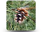 Pine Cone 01 Square PPT PowerPoint Image Picture