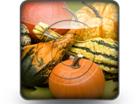 Download pumpkin_patch_b PowerPoint Icon and other software plugins for Microsoft PowerPoint