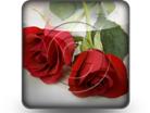 Download valentine roses b PowerPoint Icon and other software plugins for Microsoft PowerPoint