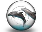 Download dolphin tricks s PowerPoint Icon and other software plugins for Microsoft PowerPoint