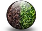 Grass And Soil S PPT PowerPoint Image Picture