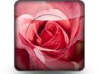 Download rose petals b PowerPoint Icon and other software plugins for Microsoft PowerPoint