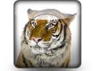Download tiger b PowerPoint Icon and other software plugins for Microsoft PowerPoint