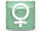 GenderFemale Green Color Pen PPT PowerPoint Image Picture