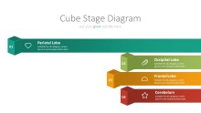 PowerPoint Infographic - 010 Chain Cube Stages