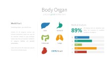 PowerPoint Infographic - 046 Organs
