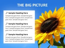 The Big Picture PPT PowerPoint presentation slide layout