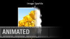 Sparkle Image PPT PowerPoint presentation slide layout
