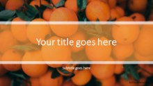 Orange Tree Widescreen