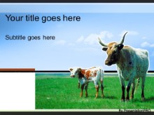 Download cattle graze blue PowerPoint Template and other software plugins for Microsoft PowerPoint