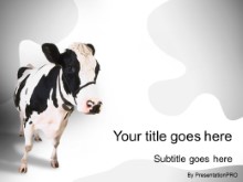 Download cow 2 PowerPoint Template and other software plugins for Microsoft PowerPoint