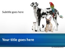 Friendly Pets PPT PowerPoint Template Background