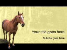 Download horse 2 PowerPoint Template and other software plugins for Microsoft PowerPoint