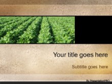 Download soybean patch PowerPoint Template and other software plugins for Microsoft PowerPoint