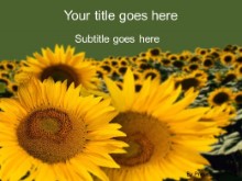 Download sunflowers PowerPoint Template and other software plugins for Microsoft PowerPoint
