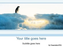 Download polar penguin PowerPoint Template and other software plugins for Microsoft PowerPoint