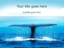 Download save the whales PowerPoint Template and other software plugins for Microsoft PowerPoint