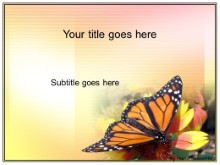 Download butterfly PowerPoint Template and other software plugins for Microsoft PowerPoint