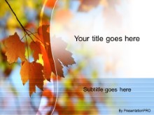 Download maple leafs in autumn PowerPoint Template and other software plugins for Microsoft PowerPoint