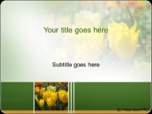 Download sunny yellow tulips PowerPoint Template and other software plugins for Microsoft PowerPoint