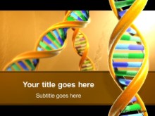 Download dna noodlebars gold PowerPoint Template and other software plugins for Microsoft PowerPoint