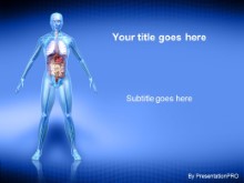 Download female anatomy PowerPoint Template and other software plugins for Microsoft PowerPoint
