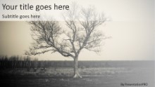 Lone Tree Widescreen PPT PowerPoint Template Background