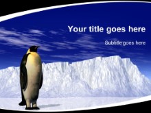 Download animals penguin PowerPoint Template and other software plugins for Microsoft PowerPoint