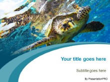 Download swimming turtle PowerPoint Template and other software plugins for Microsoft PowerPoint